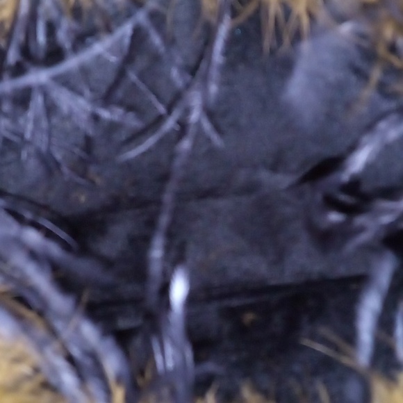 Elegant & Unique Animal Print Handbag Adorned with Ostrich Feathers On Top - Picture 5 of 6